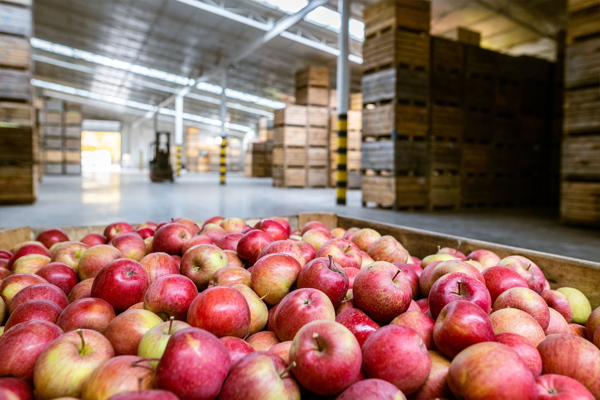 CJ ICM Bonded Warehousing Netherlands